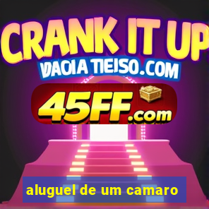 aluguel de um camaro